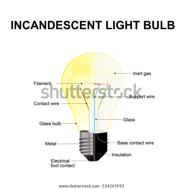 Image result for parts in a bulb