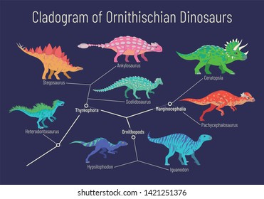 Diagram Showing Relations Among Ornithischia: Thyreophora, Ornithopods, Marginocephalia. Illustration Of Colorful Dinosaurs On Blue Background. Cladogram Of Ornithischian Dinosaurs.