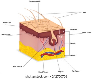 Power Station Diagram Stock Illustration 236673541 | Shutterstock