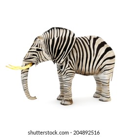 Different, Elephant With Zebra Stripes On A White Background.