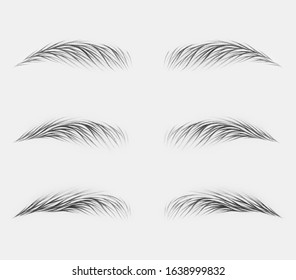 different eyebrows. pencil drawing of hairs on eyebrows. European, Asian and mixed hair styling. eyebrow tattoo in hair technique. microblading.