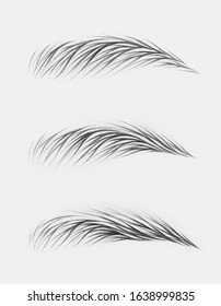 different eyebrows. pencil drawing of hairs on eyebrows. European, Asian and mixed hair styling. eyebrow tattoo in hair technique. microblading.
