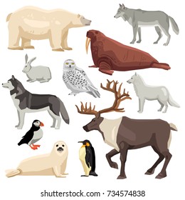 Polar Animals Vector Collection Polar Animals Stock Vector (Royalty ...