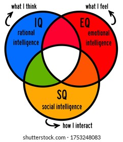 Different Kinds Of Human Intelligence