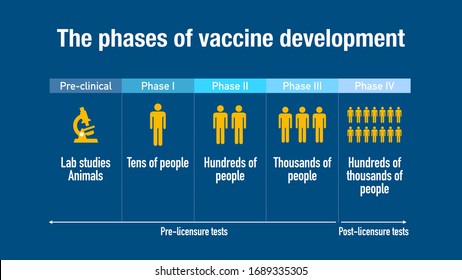 The Different Phases Of Vaccine Development