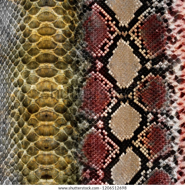 snake vs block skin list