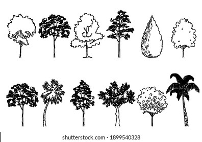 Tree Sketch Images, Stock Photos & Vectors 