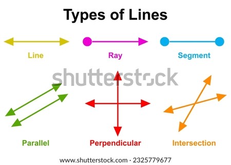 Different types of lines in mathematics, 3d rendering