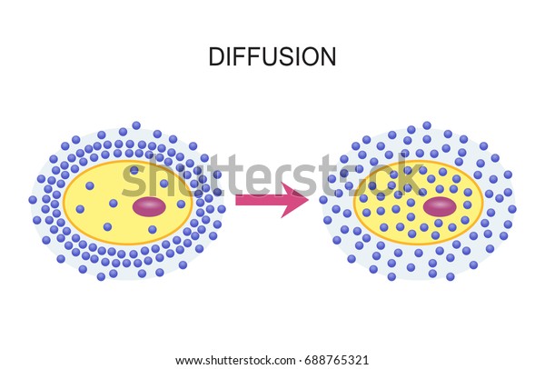 細胞膜間の拡散 のイラスト素材 688765321