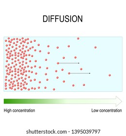 Diffusion Movement Molecules Atoms Region Higher Stock Illustration ...