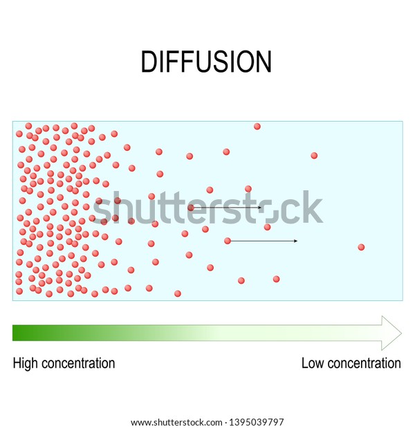 Diffusion Movement Molecules Atoms Region Higher Stock Illustration ...