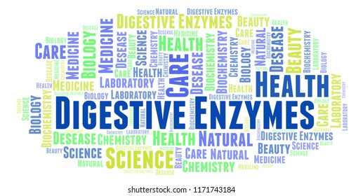 Digestive Enzymes Word Cloud.