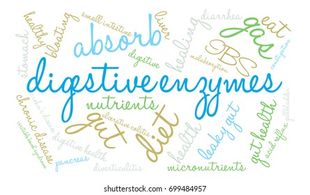 Digestive Enzymes Word Cloud On A White Background. 