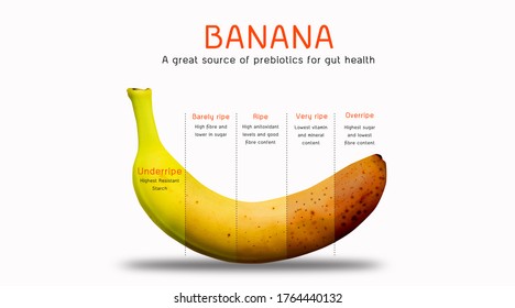 Digestive Health Boost: Exploring the benefits of bananas for digestive health, including their role in improving digestion, promoting gut health, and providing essential nutrients. - Powered by Shutterstock