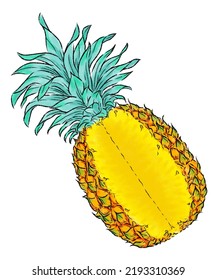 Digiatal Drawing Of Pinapple Cut In Angle