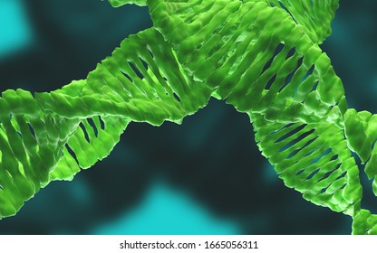 Digital 3d Model Dna Structure3d Rendering Stock Illustration ...