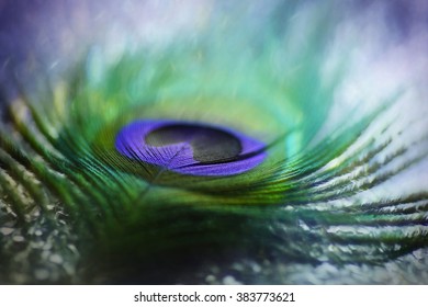 Digital art,paint effect, Multicolored macro peacock feather, bokeh light                               
