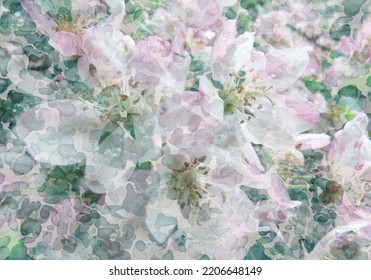 Digital Artwork Flowers Watercolor Backgrounds Stock Illustration