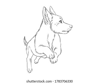 犬 逃げる のイラスト素材 画像 ベクター画像 Shutterstock