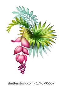 digital botanical illustration, wild jungle foliage arrangement with pink medinilla flower, tropical palm leaves, colorful bouquet, floral design isolated on white background