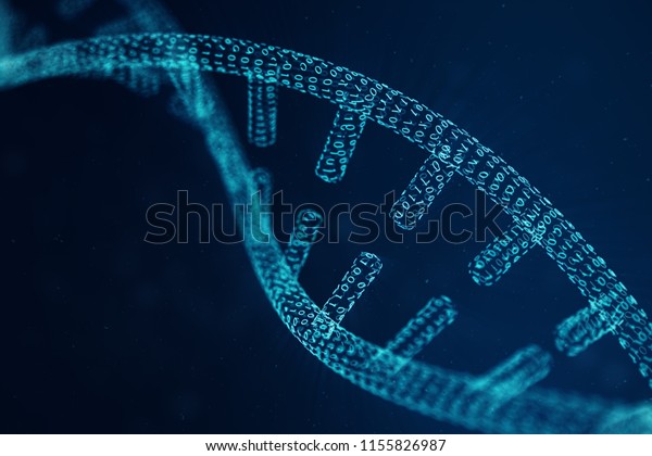 shutterstock