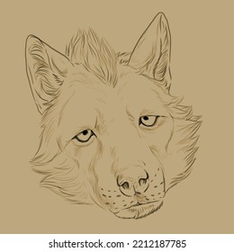 Digital Drawing Of The Head Of A Sad Wolf With Mohawk Hairstyle