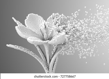 Digital Flower Disintegrates To 3D Pixels. 3D Illustration.