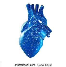 Digital Human Heart Model  - 3D Illustration