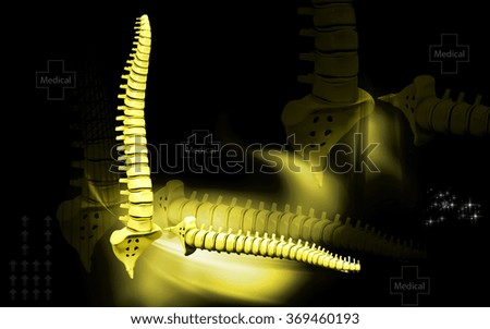 Digital illustration  of back bone in    co lour background  