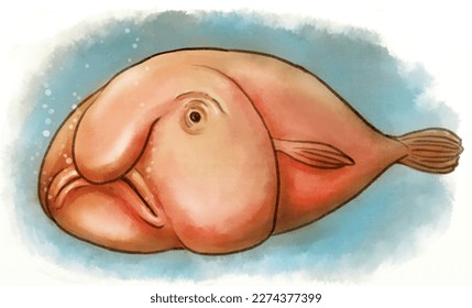 Digital illustration Blobfish  Blobfish are deep  sea fish and distinctive gelatinous appearance due to their lack muscles  They are found off the coasts Australia   New Zealand 