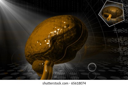 Digital illustration of  brain in colour  background 	 - Shutterstock ID 65618074