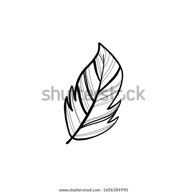 Digital Illustration Cute Single Outline Feather Stock Illustration 1606384990