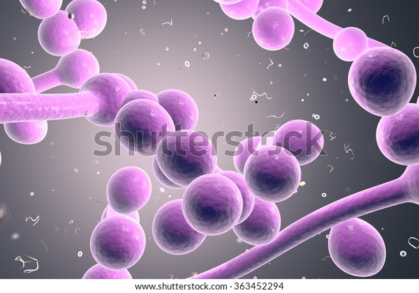 candida albicans a lanus