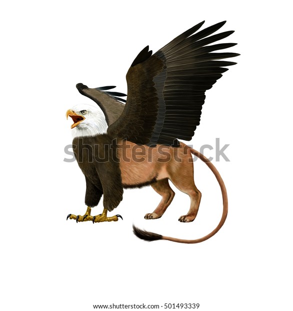 Digital Illustration Gryphon のイラスト素材