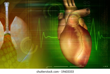 Digital Illustration Of A Heart With Eco Cardio Gram Pulse	