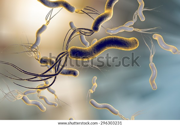 Digital\
illustration of Helicobacter pylori, bacterium which causes gastric\
and duodenal ulcer on colorful\
background