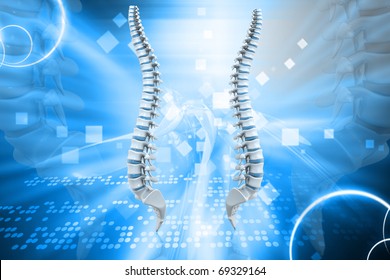 Digital Illustration Human Spine Colour Background Stock Illustration ...