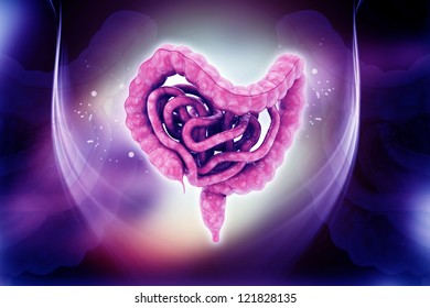 Digital Illustration Intestine Colour Background Stock Illustration