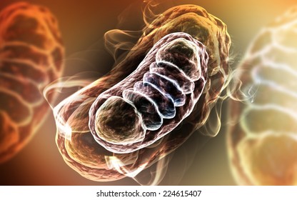 Digital illustration of Mitochondria in colour background 