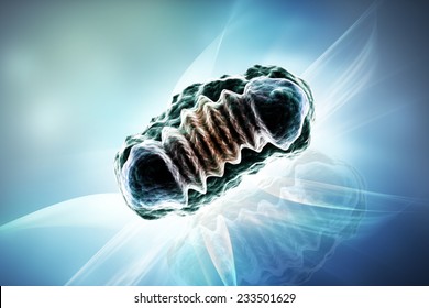 Digital Illustration Of Mitochondria In Colour Background