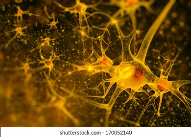 Digital Illustration Neurons