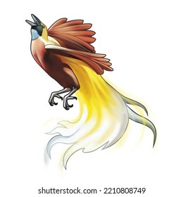 Digital Illustration On A White Background Representing A Bird Of Paradise (Paradisaea) Engaged In A Characteristic Dance During The Mating Period.