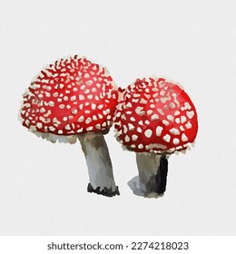 digital oil painting red white spotted mushroom sketch  Hand draw   White background 
