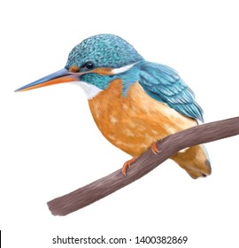 Digital painted colorful Kingfisher in realistic style