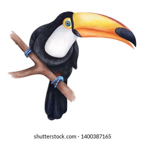 Digital painted toucan in realistic style