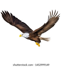 Digital Painting Of Bald Eagle Flying Illustration Isolated In White Background