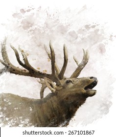 Digital Painting Of Bull Elk