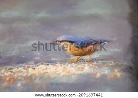 Similar – Image, Stock Photo Nuthatch (Sitta europaea)