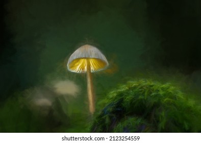Digital Painting Of Fantasy Mushrooms Glowing In A Dark Magical Enchanted Woodland.
