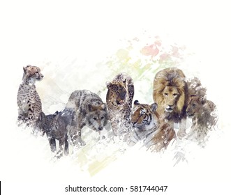 Mammals Collage Images, Stock Photos & Vectors | Shutterstock